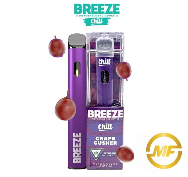 Breeze Chill | Grape Gusher | 1g Disposable Pod